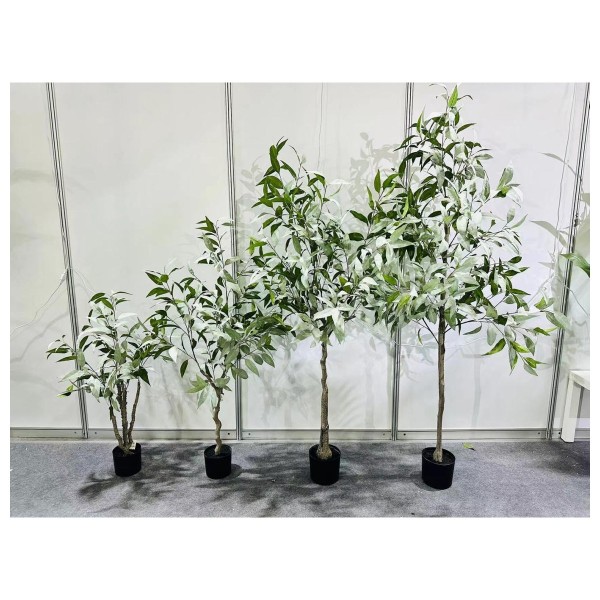 桉树 200cm