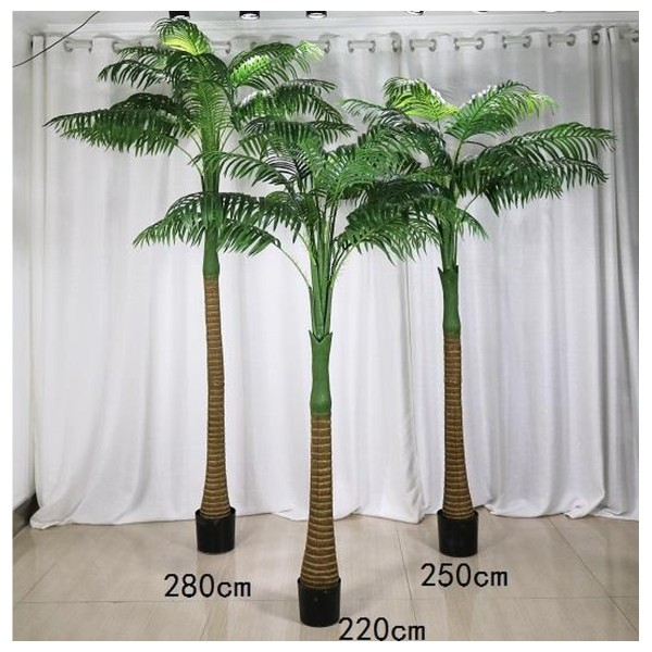 槟榔 360cm