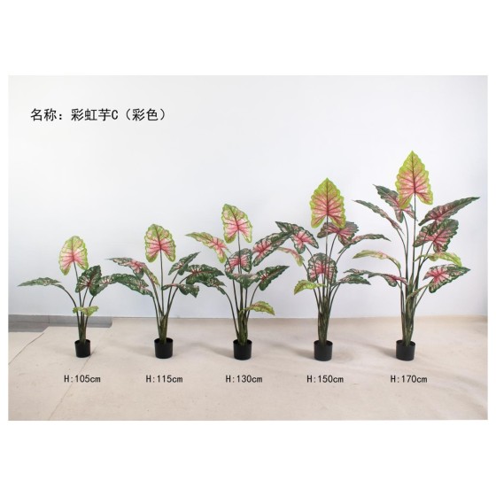 彩虹芋C(彩色) 130cm