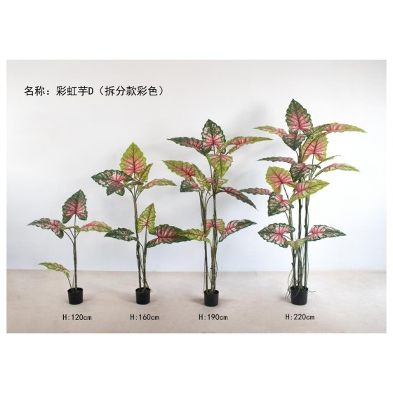 彩虹芋D(拆分款彩色） 160cm2杆