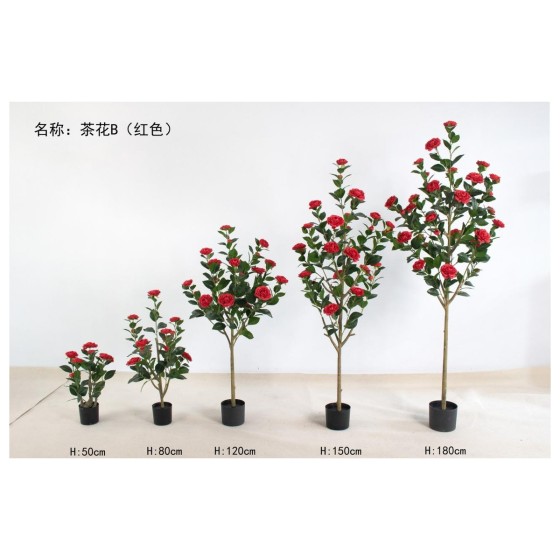 茶花B（红色） 50cm