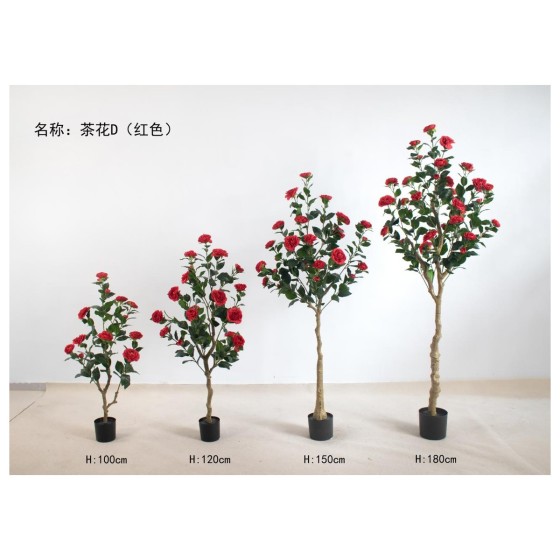 茶花D(红色) 150cm