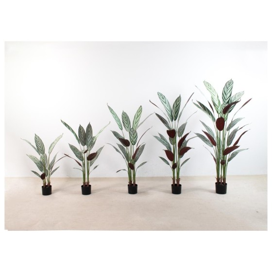 飞羽B 100cm