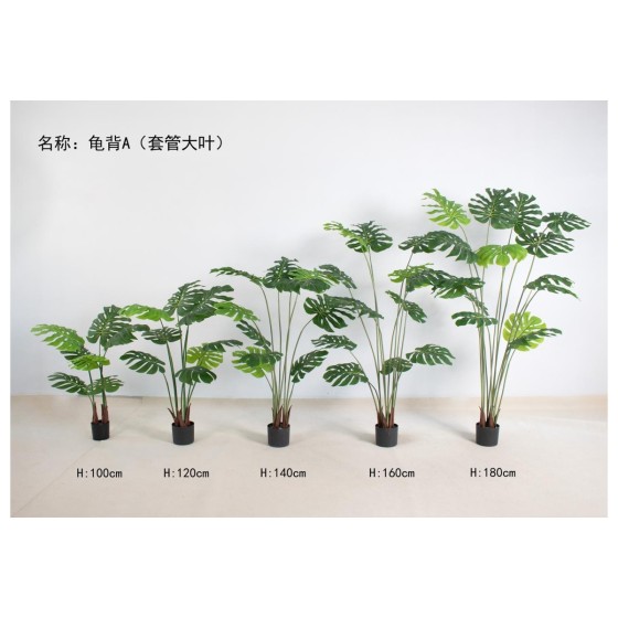 龟背A（套管大叶） 100cm