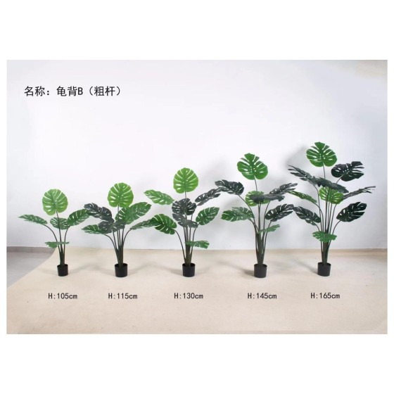 龟背B（粗杆） 105cm