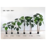 龟背D（高杆绿（高杆绿色） 120cm双杆