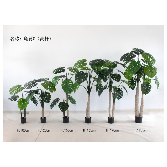 龟背D（高杆绿（高杆绿色） 120cm双杆