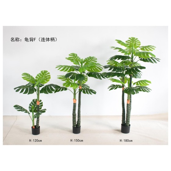 龟背G(连体柄） 180cm