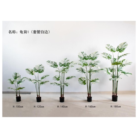 龟背I(套管白边）边） 100cm