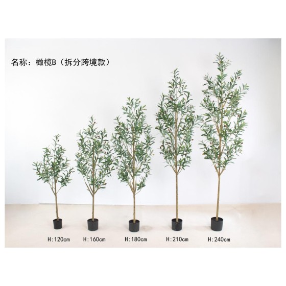 橄榄B(拆分跨境款) 160cm