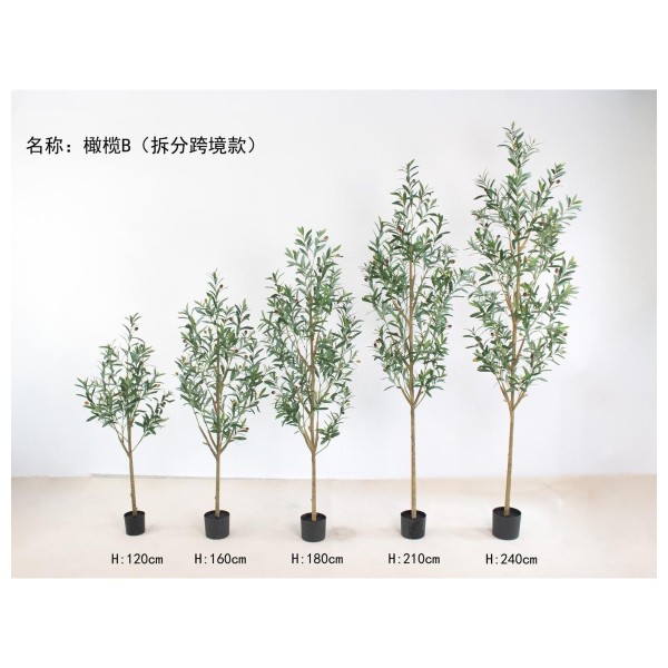 橄榄B(拆分跨境款) 180cm