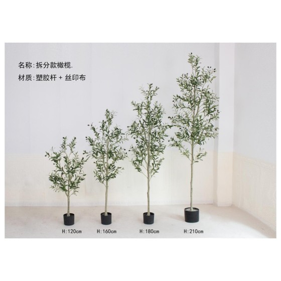 橄榄D（单杆拆分款） 210cm