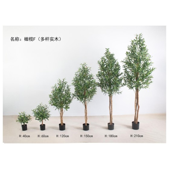 橄榄F（多杆实木） 180cn