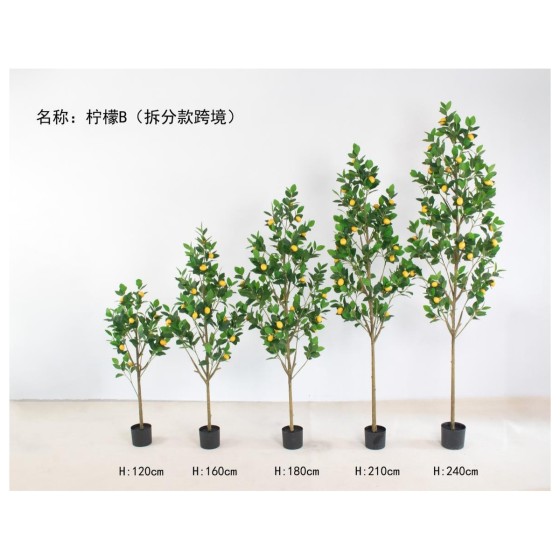柠檬B(拆分款跨境) 180cm