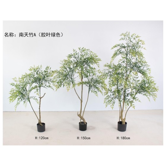 南天竹A胶叶绿色 180cm