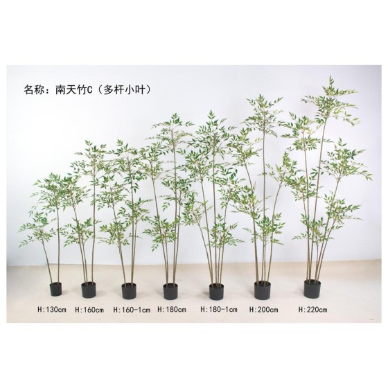 南天竹C（多杆小叶绿色） 160cm