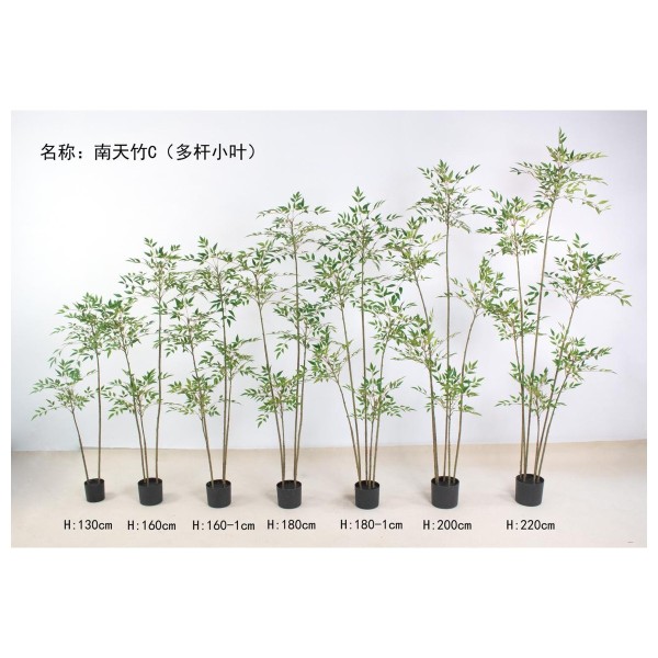 南天竹C（多杆小叶绿色） 200cm
