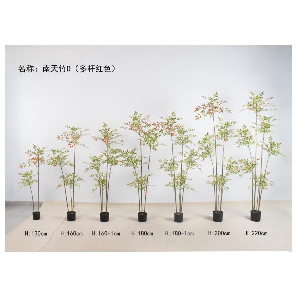 南天竹D（多杆小叶红色） 220