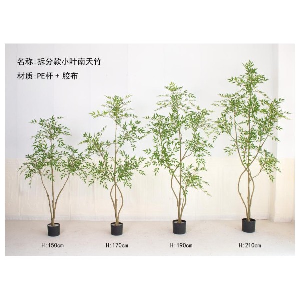 南天竹E(拆分款小叶) 190cm
