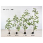 漆木A(绿色） 150cm