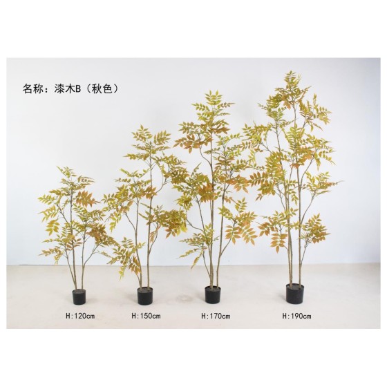 漆木B（秋色） 170cm