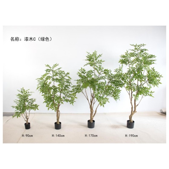 漆木c（绿色） 140cn