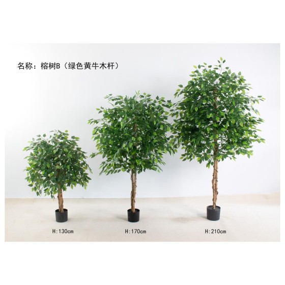 榕树B（绿色黄牛木杆） 170cm