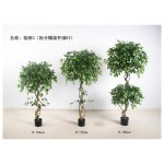 榕树C(拆分螺旋杆绿叶) 150cm