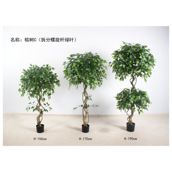榕树C(拆分螺旋杆绿叶) 190cm