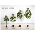 三角梅B(拆分款） 180cm