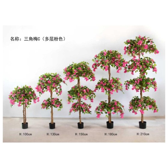 三角梅C(多层粉色） 210cm