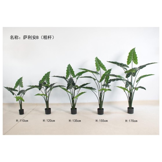 萨利安B(粗杆) 120cm