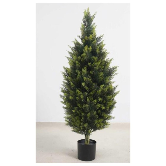 松柏A（盆栽） 90cm