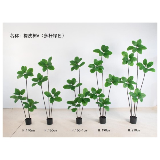 橡皮树A（多杆绿色） 160cm