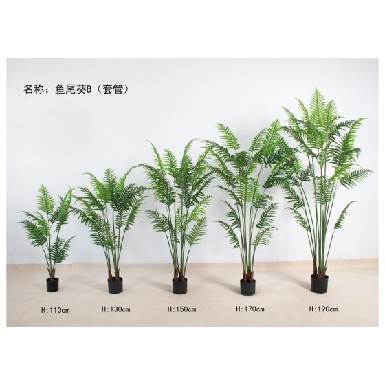 鱼尾葵(套管耳朵款) 170cm