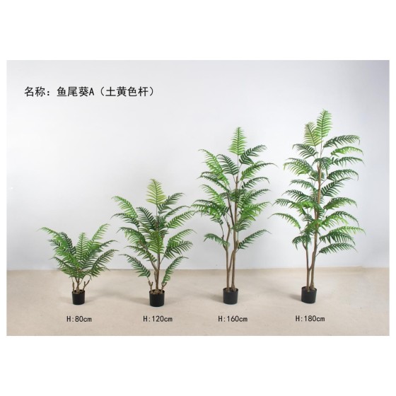 鱼尾葵A（土黄色杆子） 120cm