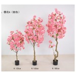 樱花A（粉色） 180cm