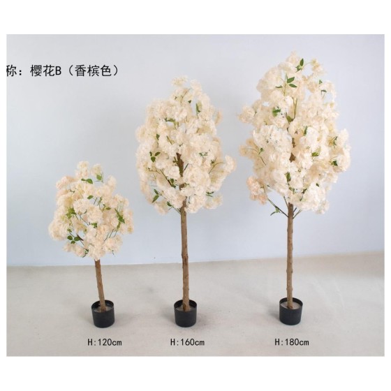 樱花B（香槟色） 180cm