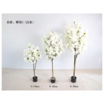 樱花C（白色） 120cm