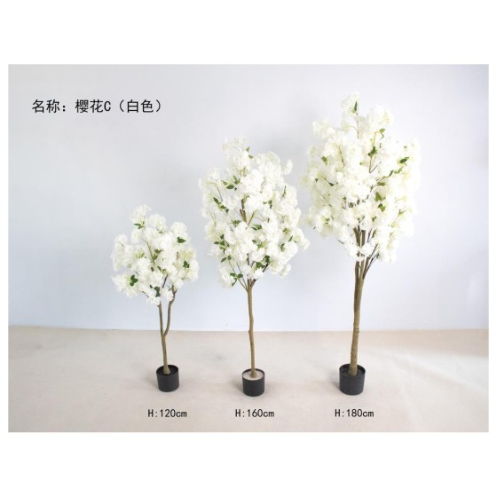 樱花C（白色） 160cm