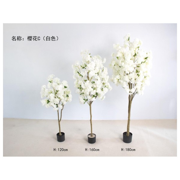 樱花C（白色） 180cm