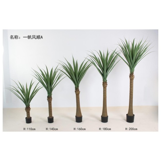 一帆风顺A 110cm