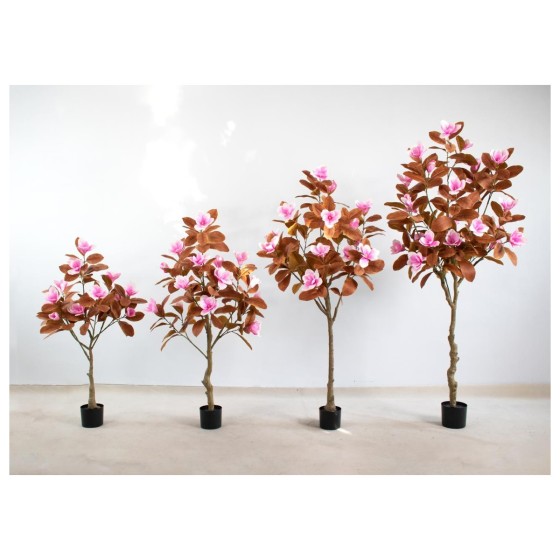 玉兰B(秋色） 120cm