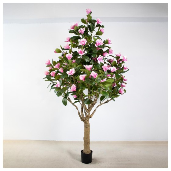 玉兰C(跨境款绿叶) 250CM