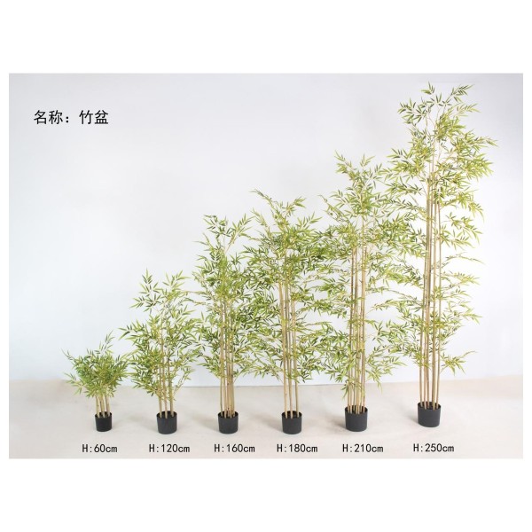 竹盆 60cm