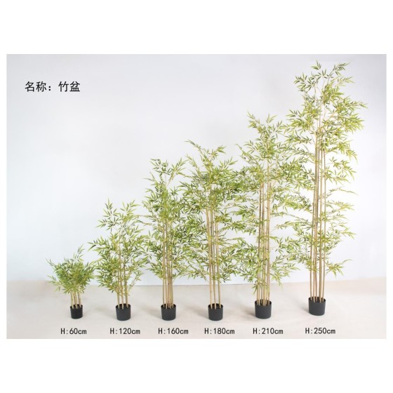 竹盆 120cm