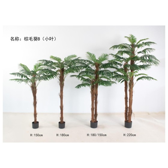 棕毛葵B(小叶) 220/180/1 50
