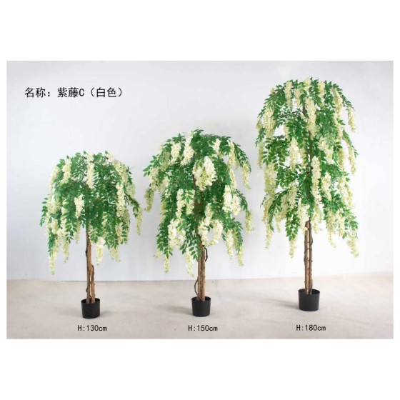 紫藤C（白色） 180cm