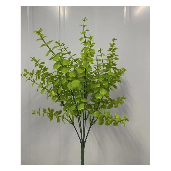 7头35目小刺草