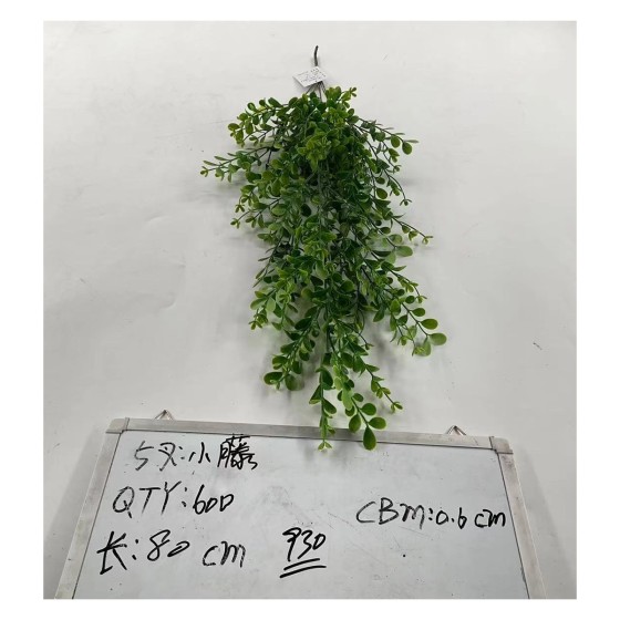 5叉小腾